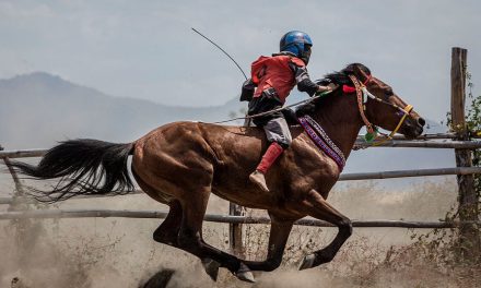 Pacuan Kuda Atau Balapan Yang Di Tunggangi Joki