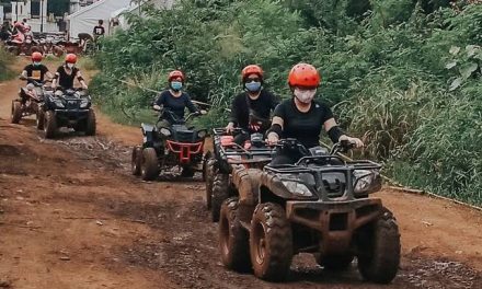 Kendaraan Mini ATV Unggul Di Segala Medan