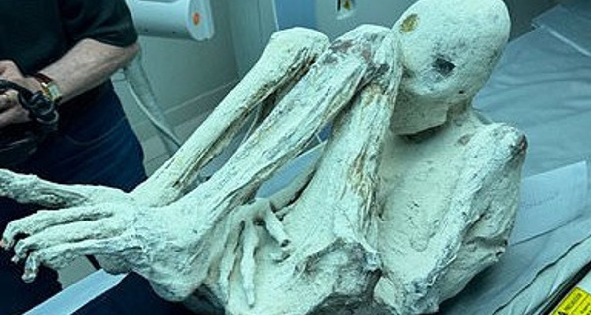 Makhluk Misterius Alien Dengan Berbagai Bentuk