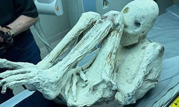 Makhluk Misterius Alien Dengan Berbagai Bentuk