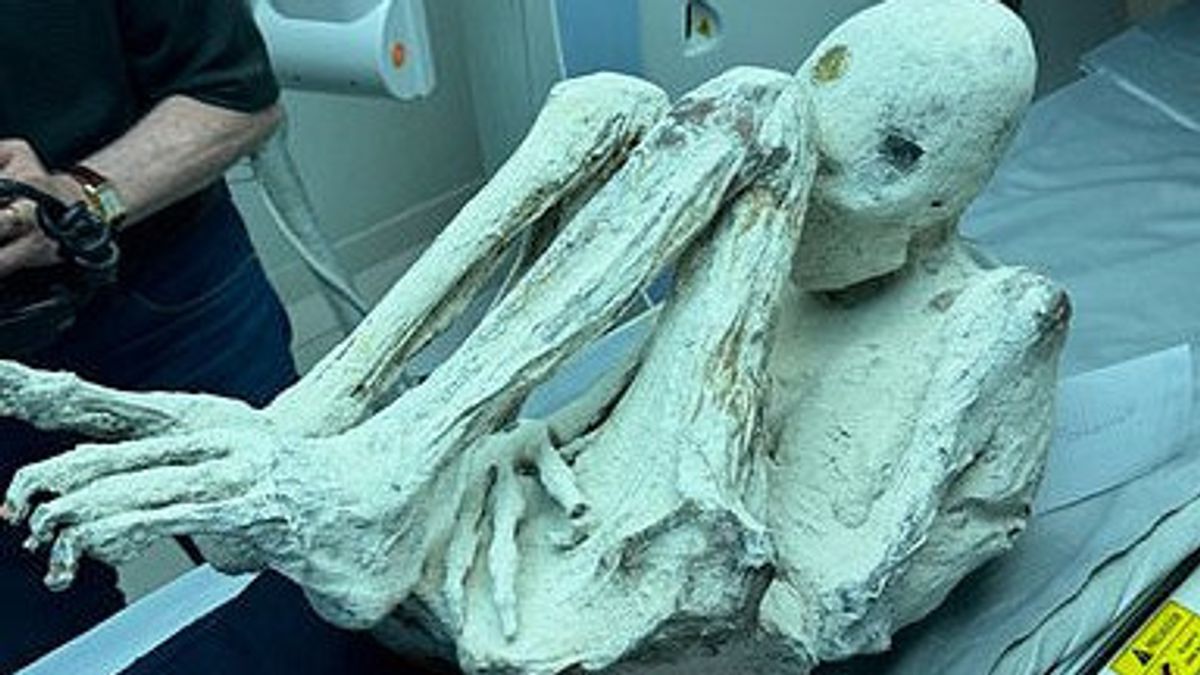Makhluk Misterius Alien Dengan Berbagai Bentuk